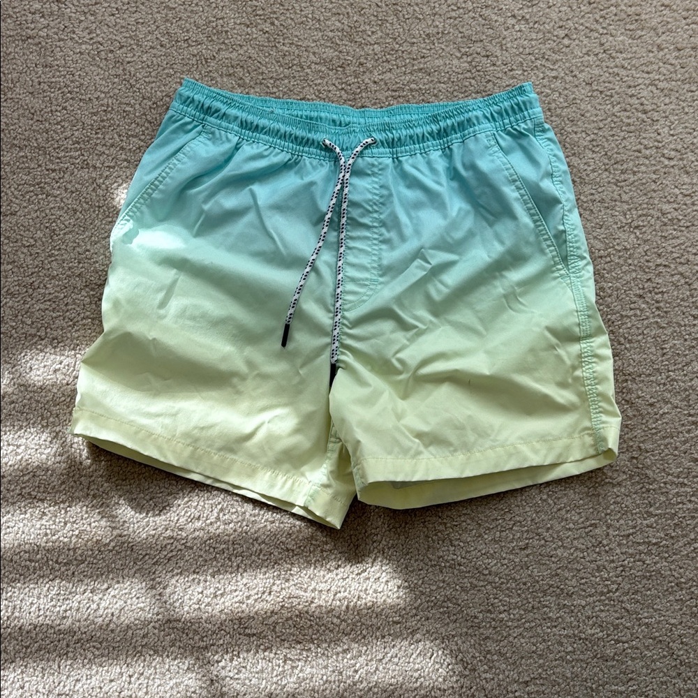 American Eagle Outfitters Teal and Yellow Men's Swim Trunks with mesh lining